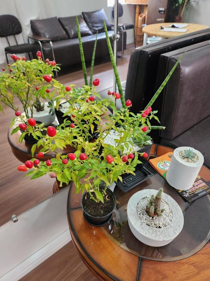 Fujima Hostel 상파울루 외부 사진